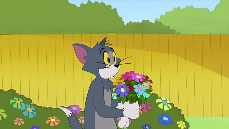 découvrez les aventures hilarantes de tom et jerry, les maîtres des cascades ! suivez leurs courses effrénées, leurs farces et leurs acrobaties spectaculaires qui promettent rires et frissons. plongez dans un univers où chaque poursuite est une nouvelle cascade inoubliable.