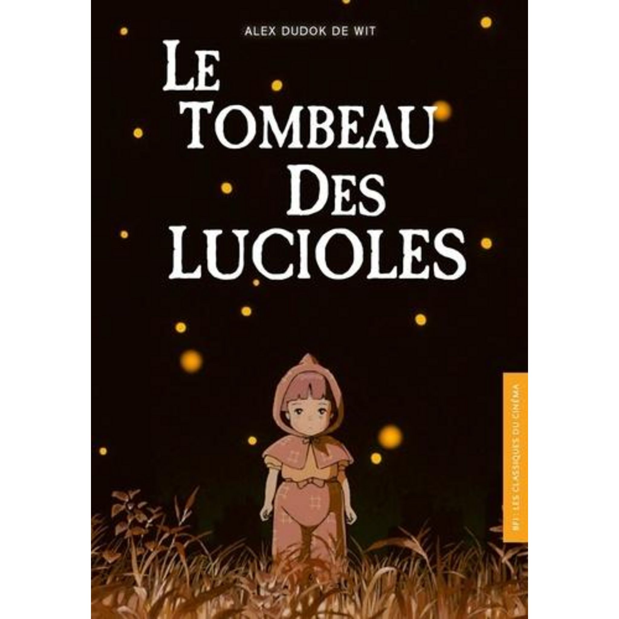 découvrez le chef-d'œuvre animé 'tombeau des lucioles' sur netflix, une poignante histoire sur l'amour fraternel et la survie en temps de guerre, qui évoque des émotions profondes et une réflexion sur l'innocence perdue.