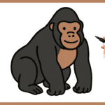 Comment dessiner un gorille ? Gorille