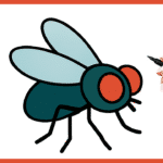 Comment dessiner une mouche ? Mouche