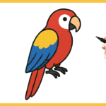 Perroquet