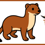 Comment dessiner une belette ? belette