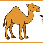 dromadaire