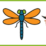 Comment dessiner une libellule ? libellule