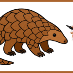 pangolin