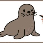 Comment dessiner un phoque ? phoque