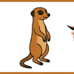suricate