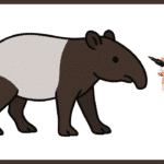 tapir