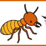 termite