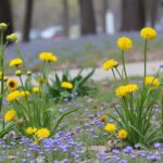 découvrez inazuma eleven cross game, le nouveau jeu de stratégie footballistique, disponible sur ios et android dès juin. préparez-vous à vivre des matchs intenses et des aventures captivantes sur votre mobile !