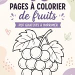 Exemple de pages à colorier de fruits, incluant des pommes et des oranges.